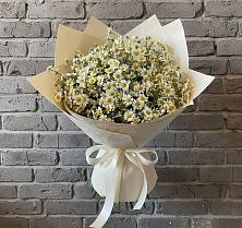 Букет цветов из:  Ромашки #REPLACE_PRED# Темрюке